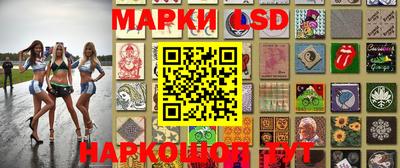 гашик Кимры