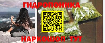 гашик Кимры