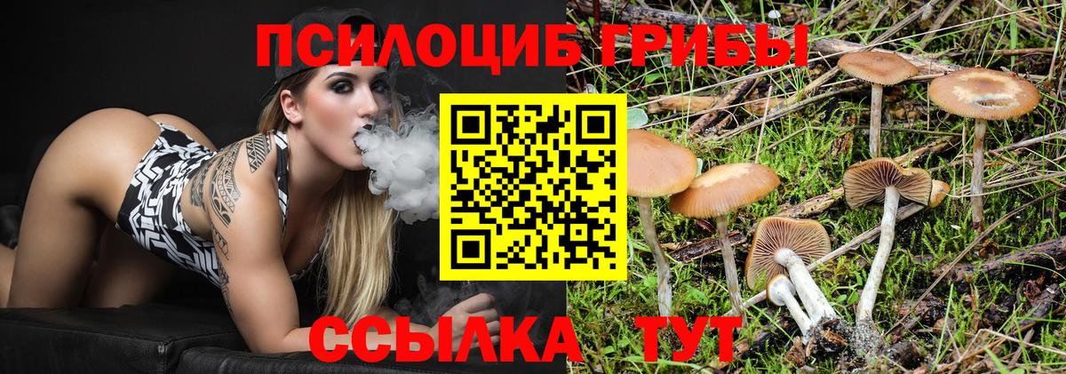 Псилоцибиновые грибы мицелий  Псилоцибиновые грибы Psilocybe  Кострома  Вход с VPN 