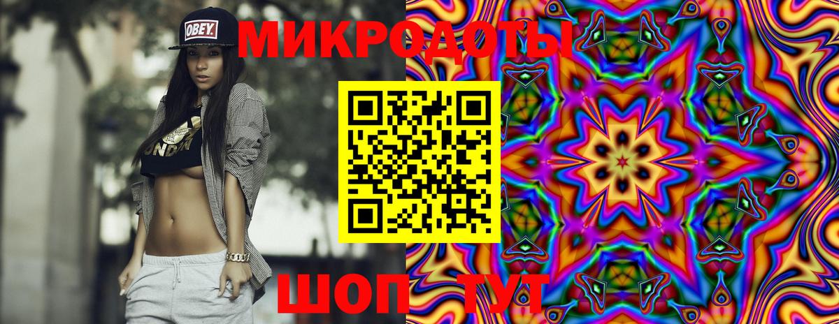 Псилоцибиновые грибы Cubensis Кострома